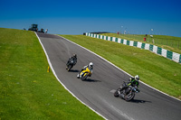 cadwell-no-limits-trackday;cadwell-park;cadwell-park-photographs;cadwell-trackday-photographs;enduro-digital-images;event-digital-images;eventdigitalimages;no-limits-trackdays;peter-wileman-photography;racing-digital-images;trackday-digital-images;trackday-photos